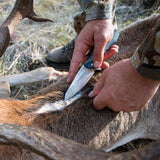 Tassie Tiger Folding Pocket Knife